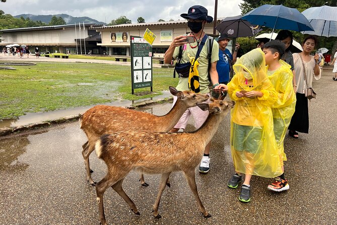 Kyoto and Nara 1 Day Bus Tour - Booking and Reservation