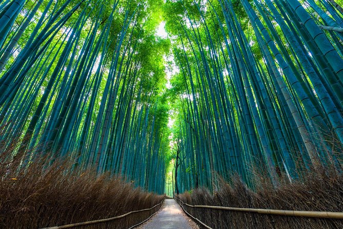 Kyoto Arashiyama Bamboo Forest & Garden Half-Day Walking Tour