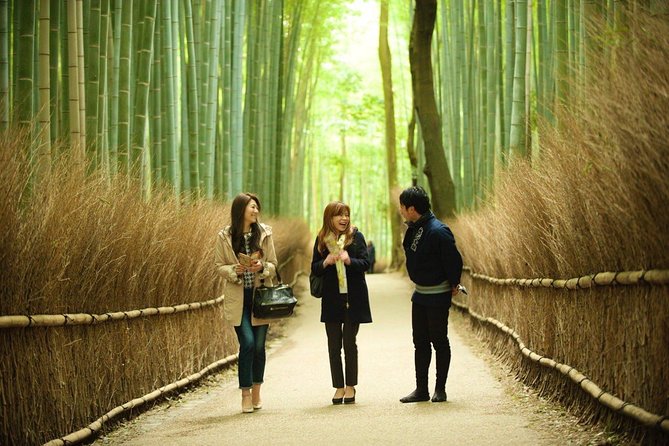 Kyoto Arashiyama Rickshaw Tour With Bamboo Forest - Tour Highlights