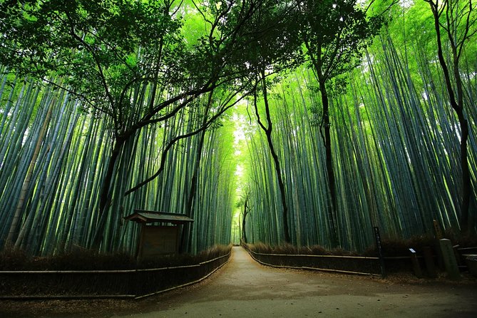 Kyoto Arashiyama & Sagano Bamboo Private Tour With Government-Licensed Guide - Tour Inclusions and Logistics