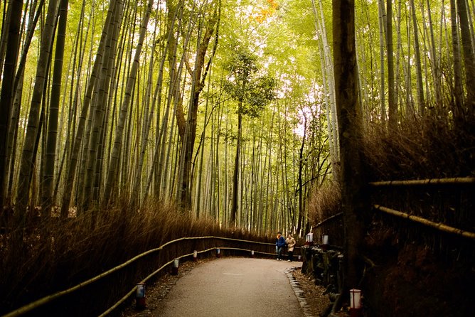 Kyoto Bamboo Forest Electric Bike Tour