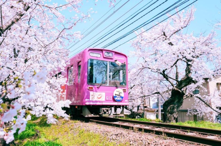 Kyoto: Cherry Blossom Highlights and Pontocho 1-Day Tour