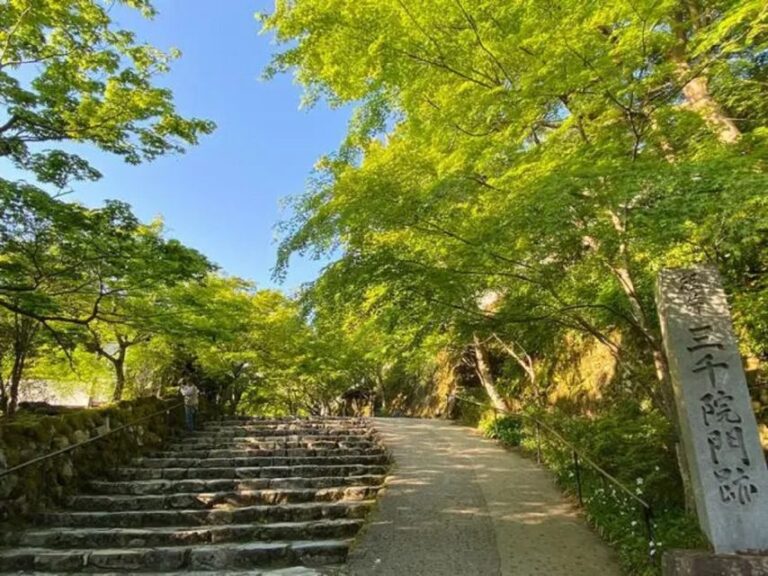Kyoto Full Day Tour: Visiti Kyoto Sanzen-In and Arashiyama