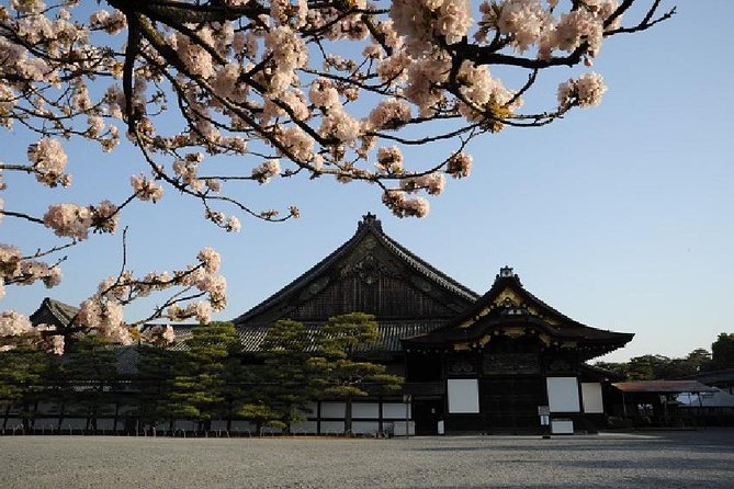 Kyoto Morning-Golden Pavilion ＆ Kyoto Imperial Palace From Kyoto - Tour Details
