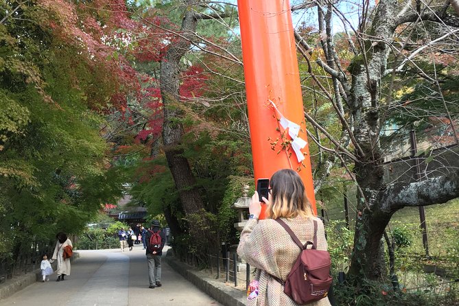 Kyoto Tea Town for Matcha Lovers - Tea Tour Highlights