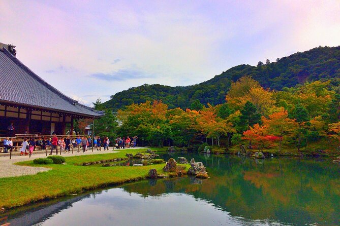 Kyoto Top Must-See Golden Pavilion and Bamboo Forest Half-Day Private Tour - Tour Highlights