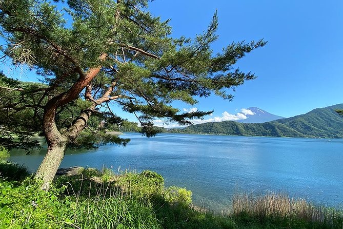 Lake Kawaguchiko Bike Tour - Inclusions