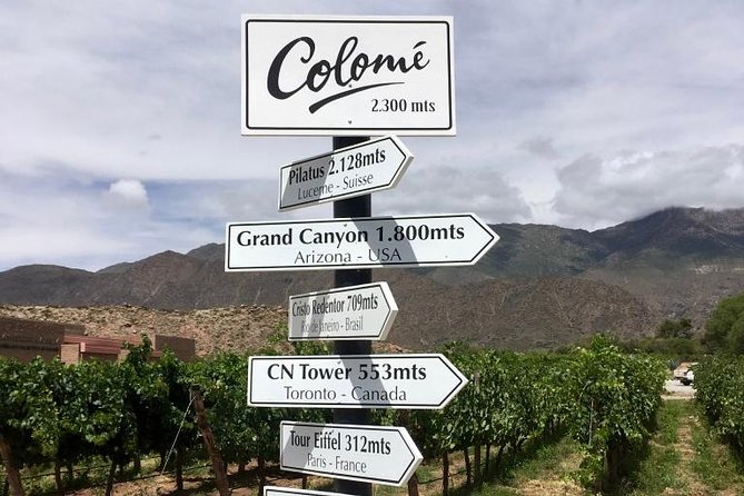 Luxury Colome Wine Tour - Itinerary Details