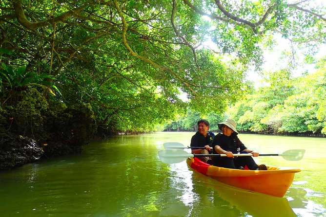 Miyara River 90-Minute Small-Group SUP or Canoe Tour (Mar ) - Logistics and Meeting Points