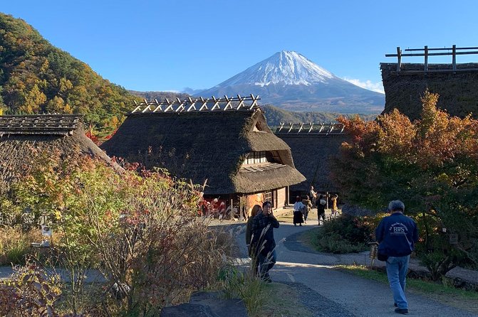 Mount Fuji: Private, Customized Tour From Tokyo - Inclusions