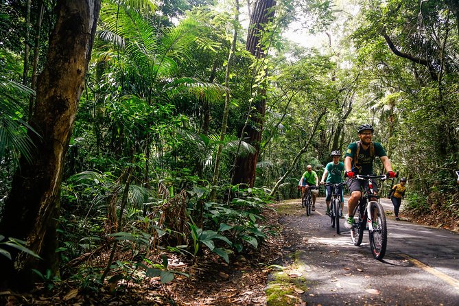 Mountain Bike Tijuca Rain Forest