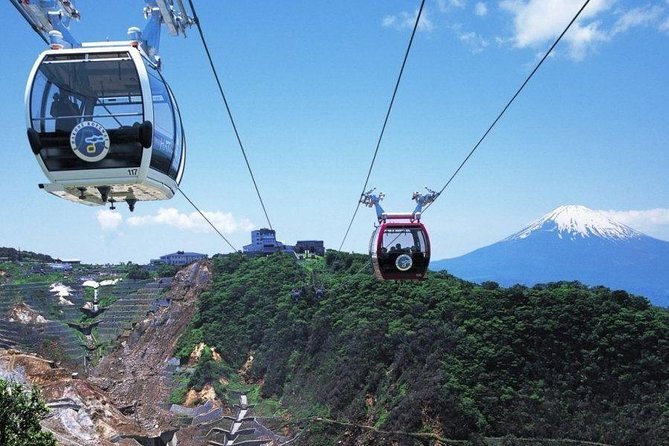 Mt. Fuji and Hakone Day Trip From Tokyo With Bullet Train Option - Tour Itinerary and Highlights