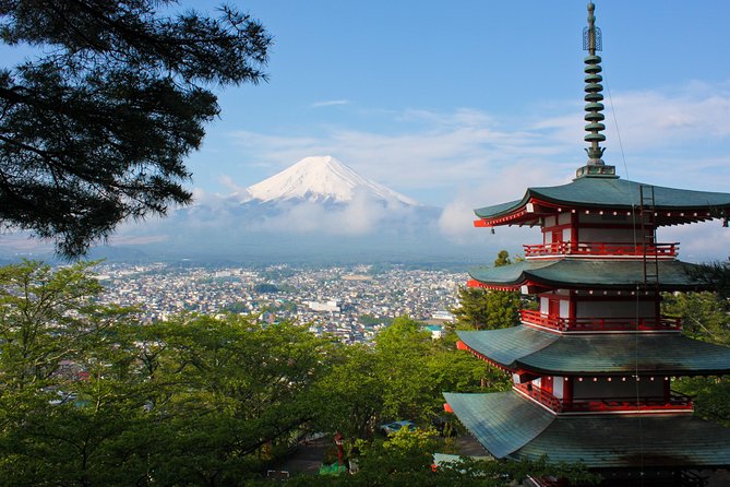 Mt Fuji Day Trip With Private English Speaking Driver - Tour Pricing and Booking Process