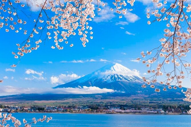Mt. Fuji Five Lakes Area Private Tour With Licensed Guide(Kawaguchiko Area Dep)