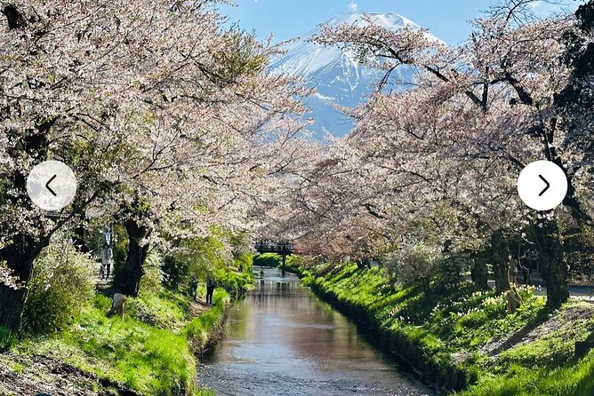 Mt. Fuji, Hakone Full-Day Private Tour With English Driver Guide - Flexible Cancellation Policy