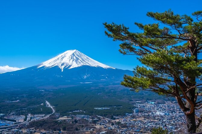 Mt. Fuji Private Tour by Car With Pick-Up From Tokyo - Tour Description