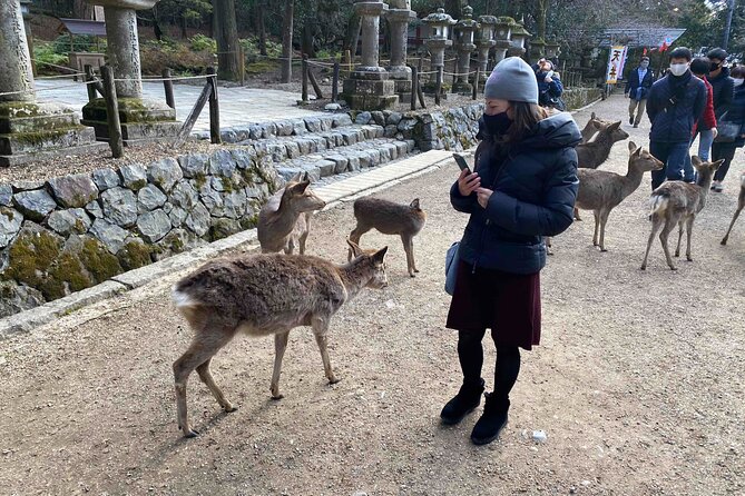 Nara Full-Day Private Tour - Kyoto Dep. With Licensed Guide - Customization Options