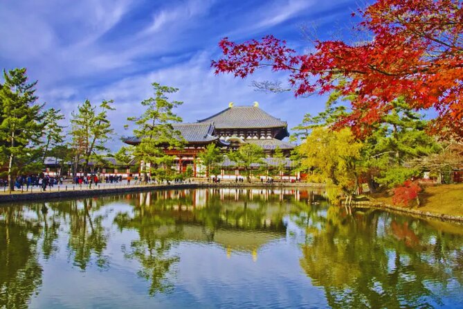 Nara, Todaiji Temple & Kuroshio Market Day BUS Tour From Osaka - Tour Highlights