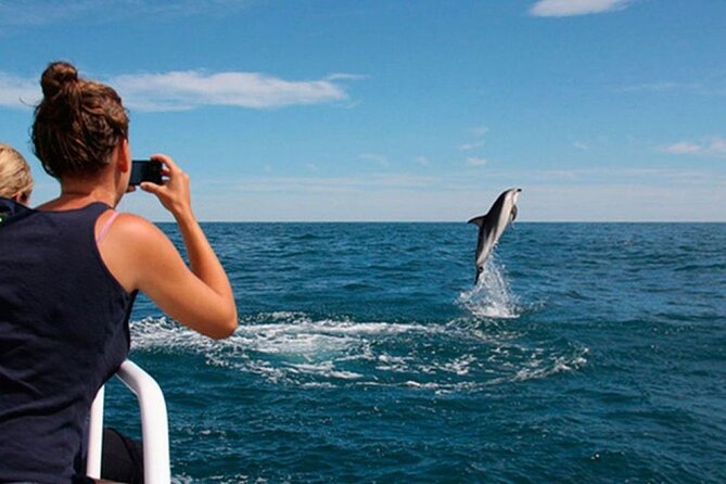National Park Brijuni and Dolphin Cruise