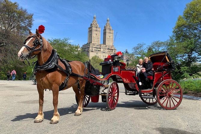 New York City: Central Park Private Horse-and-Carriage Ride