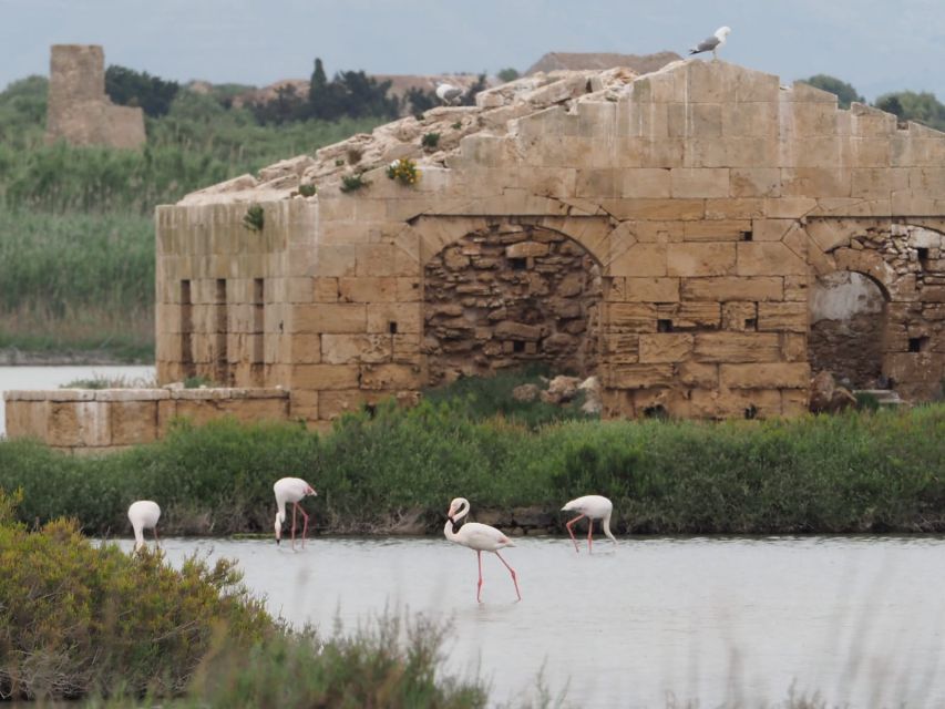 Noto: Guided Trekking and Birdwatching at Vendicari Reserve - Activity Overview