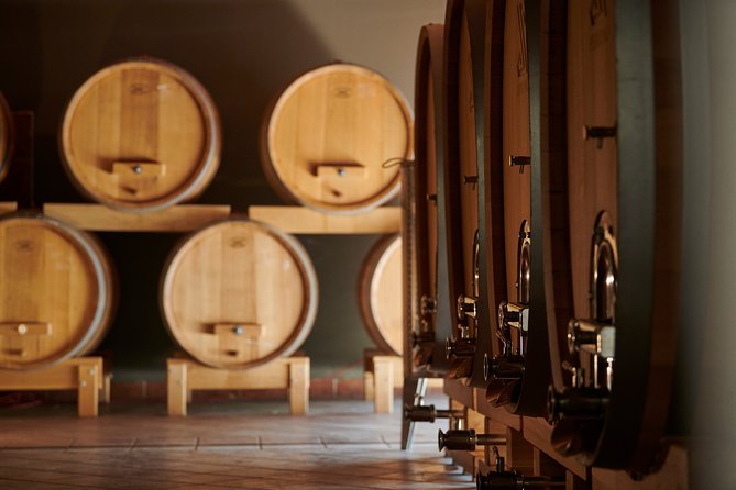 Novigrad Winery Private Wine Tasting Activity  – Istria