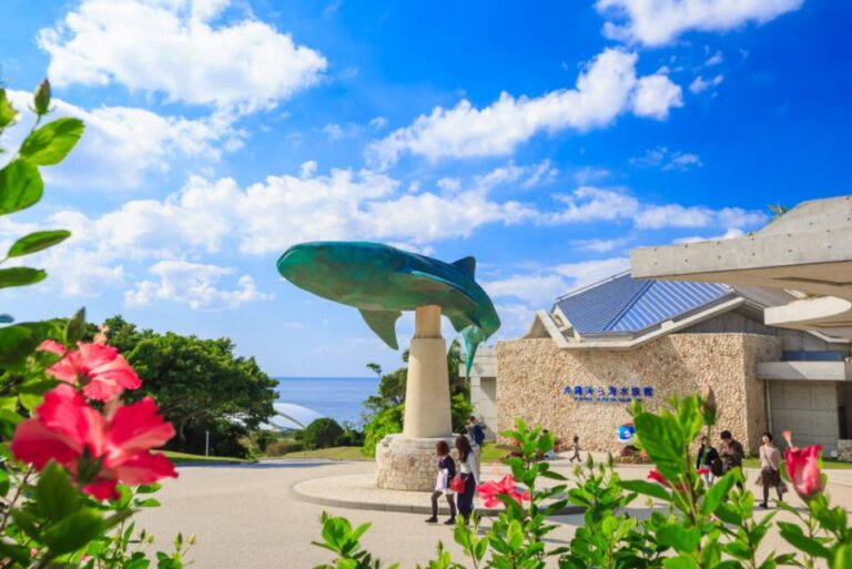 Okinawa Churaumi Aquarium Admission Ticket