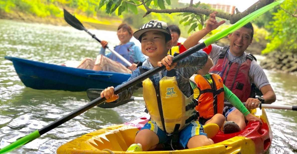 Okinawa: Mangrove Kayaking Tour - Activity Details