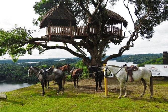 Panama City Kayaking & Horseback Riding Experience - Gatun Lake Wildlife