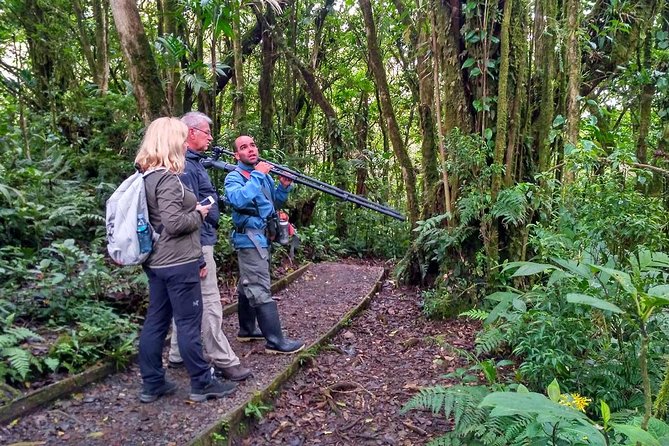 Poás Volcano & Rain Forest Day Tour - Tour Highlights & Itinerary
