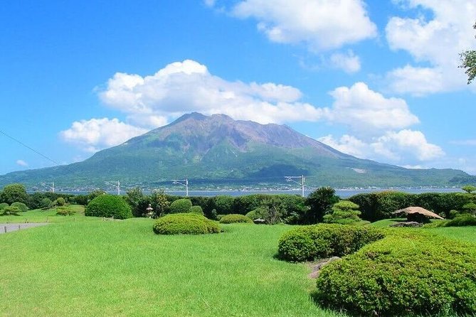 Port Pick-Up: Kagoshima Private Tour Licensed Guide ＆ Vehicle - Tour Overview Details