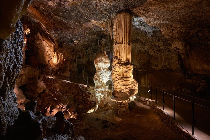 Postojna Cave & Predjama Castle From Rovinj