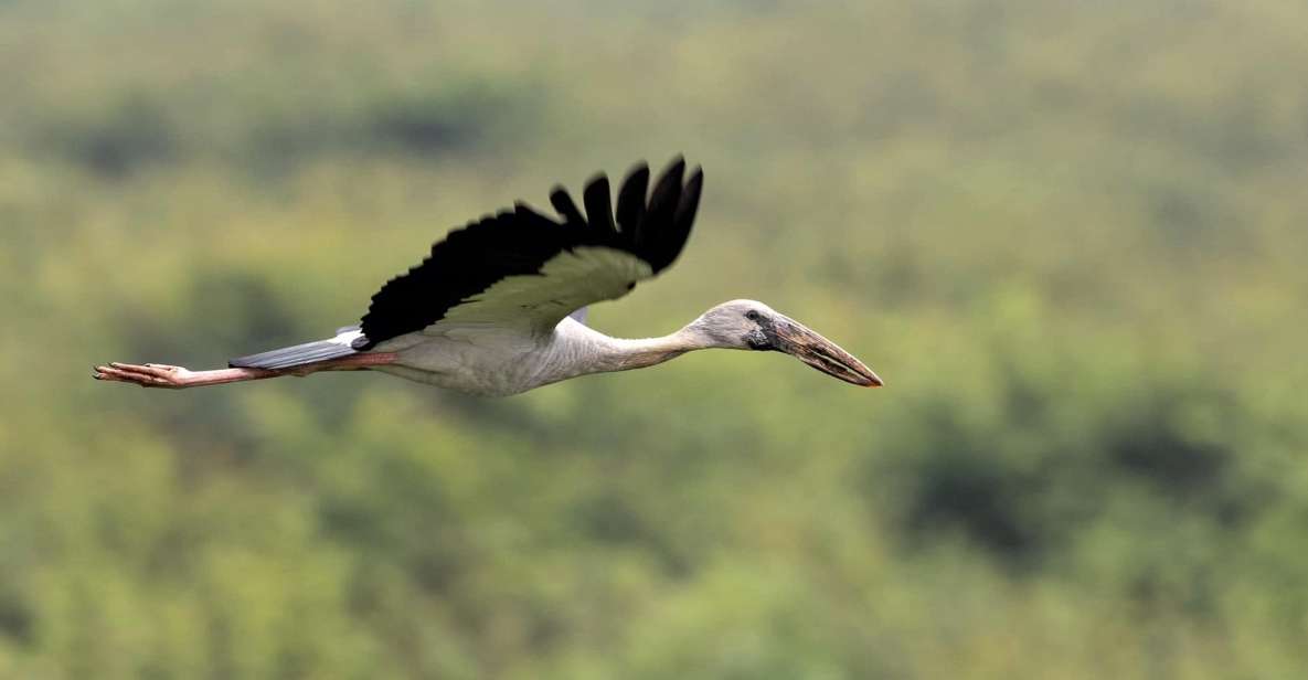 Prek Toal Birds Sanctuary & Floating Village Private Tour