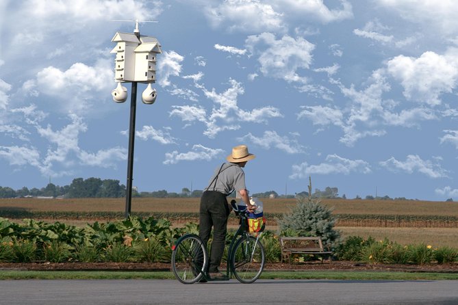 Premium Amish Country Tour Including Amish Farm and House - Tour Highlights