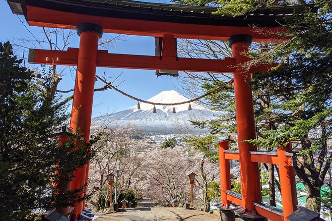 Private Car Tour to Mt. Fuji Lake Kawaguchiko or Hakone Lake Ashi - Tour Highlights