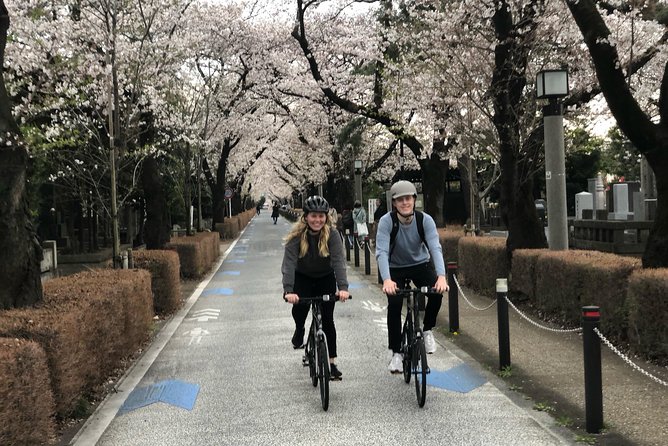 Private Half-Day Cycle Tour of Central Tokyo