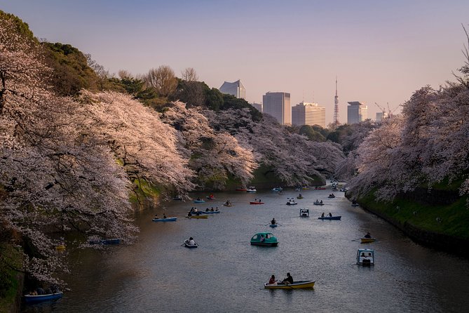Private Tokyo Photography Walking Tour With a Professional Photographer - Tour Highlights