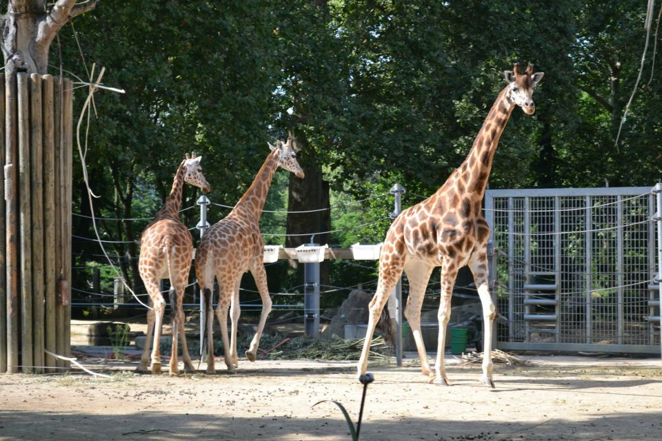Private Transfer From Gdansk, Sopot, Gdynia to Oliwa Zoo - Service Overview