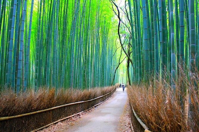 Private Walking Tour in Bamboo Forest & Hidden Spots in Arashiyama - Tour Highlights