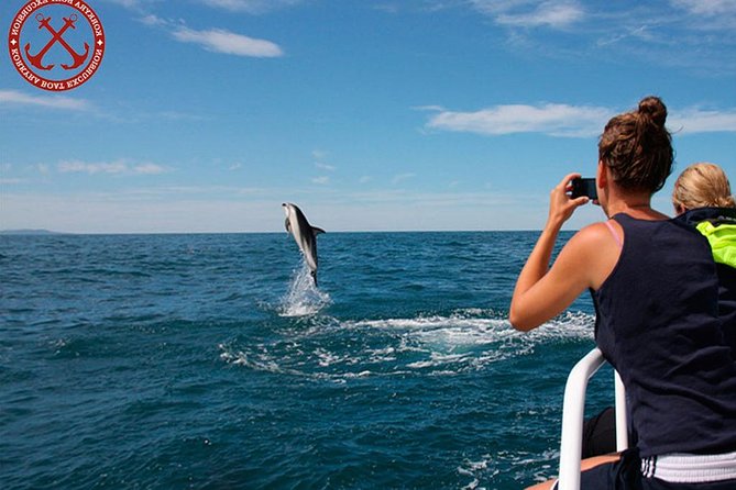 Pula Dolphin Watching Cruise With Dinner and Drinks - Customer Reviews