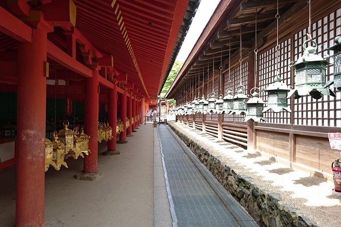 Relax in Nara: Deer Park, Todai-ji Temple and Merchants Town - Nara Deer Park: A Tranquil Haven