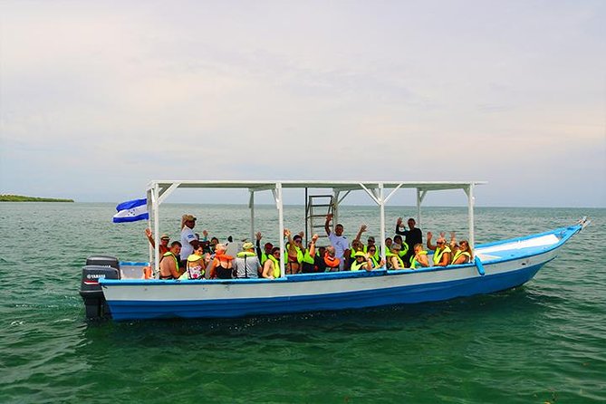 Roatan North Side Mangroves, Starfish, Shipwreck Snorkeling & Transportation - Snorkeling Spots