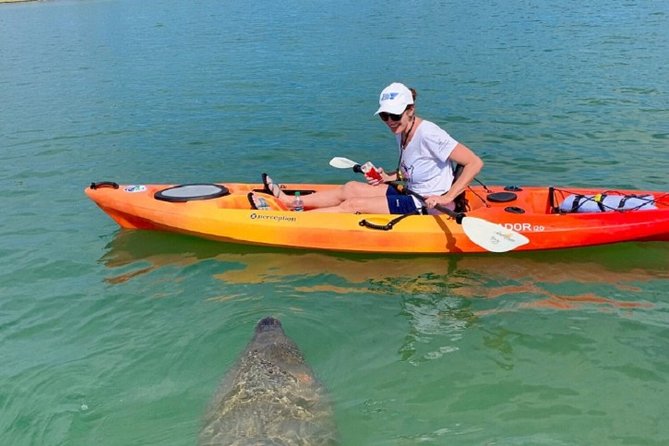Sarasota Guided Mangrove Tunnel Kayak Tour - Tour Details
