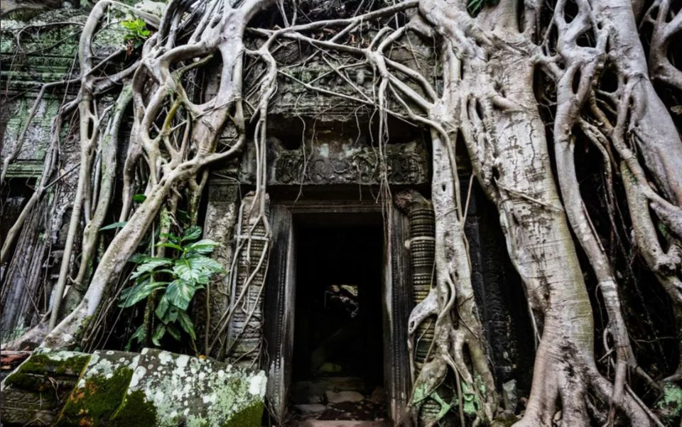 Siem Reap: Angkor Temples Tour - Shared Tours Tours Guide - Booking Details