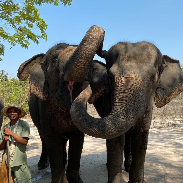 Siem Reap: Kulen Elephant Forest & Tonlesap Lake - Booking Details