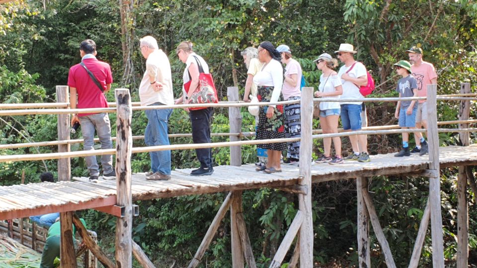 Siem Reap: Small Group Tour of Kulen Elephant Forest