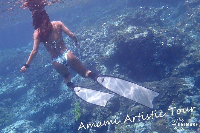 Spectacular Amami Skin Diving Tour: Explore the Paradise of Skin Diving! (Half Day or Full Day) - Equipment Provided