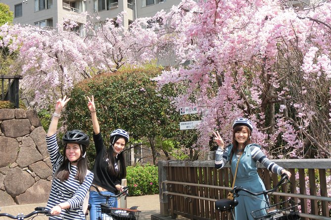 Tokyo Cherry Blossoms Blooming Spots E-Bike 3 Hour Tour - Tour Highlights