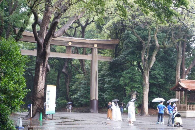 Tokyo: Meiji Jingu Shrine With Smartphone Audio Guide App