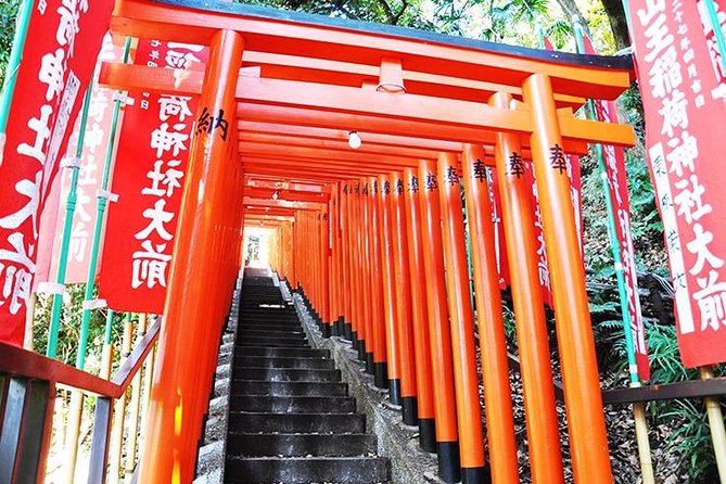 Tokyo off the Beaten Path 6hr Private Tour With Licensed Guide - Tour Details